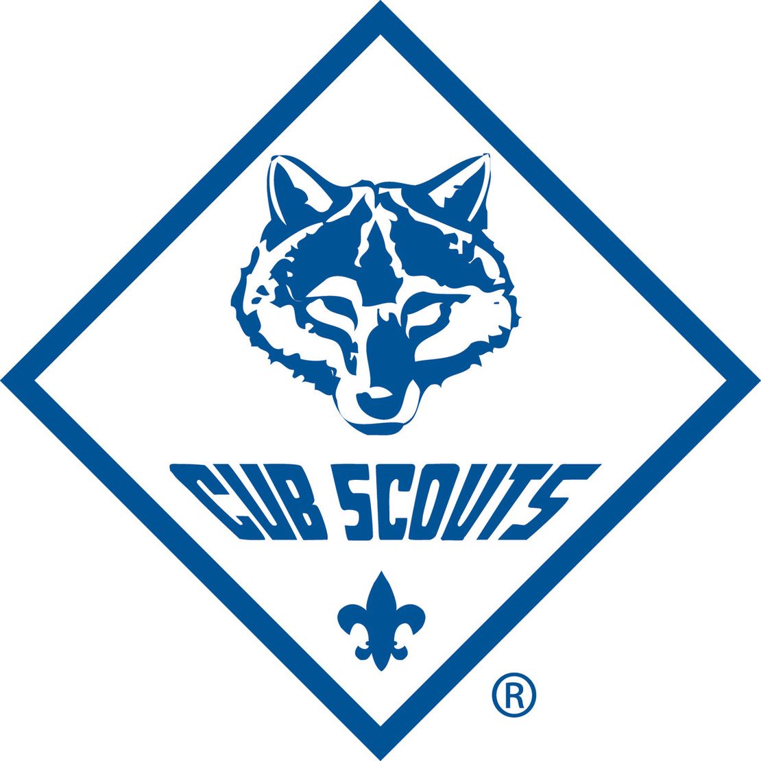 About Pack 3728