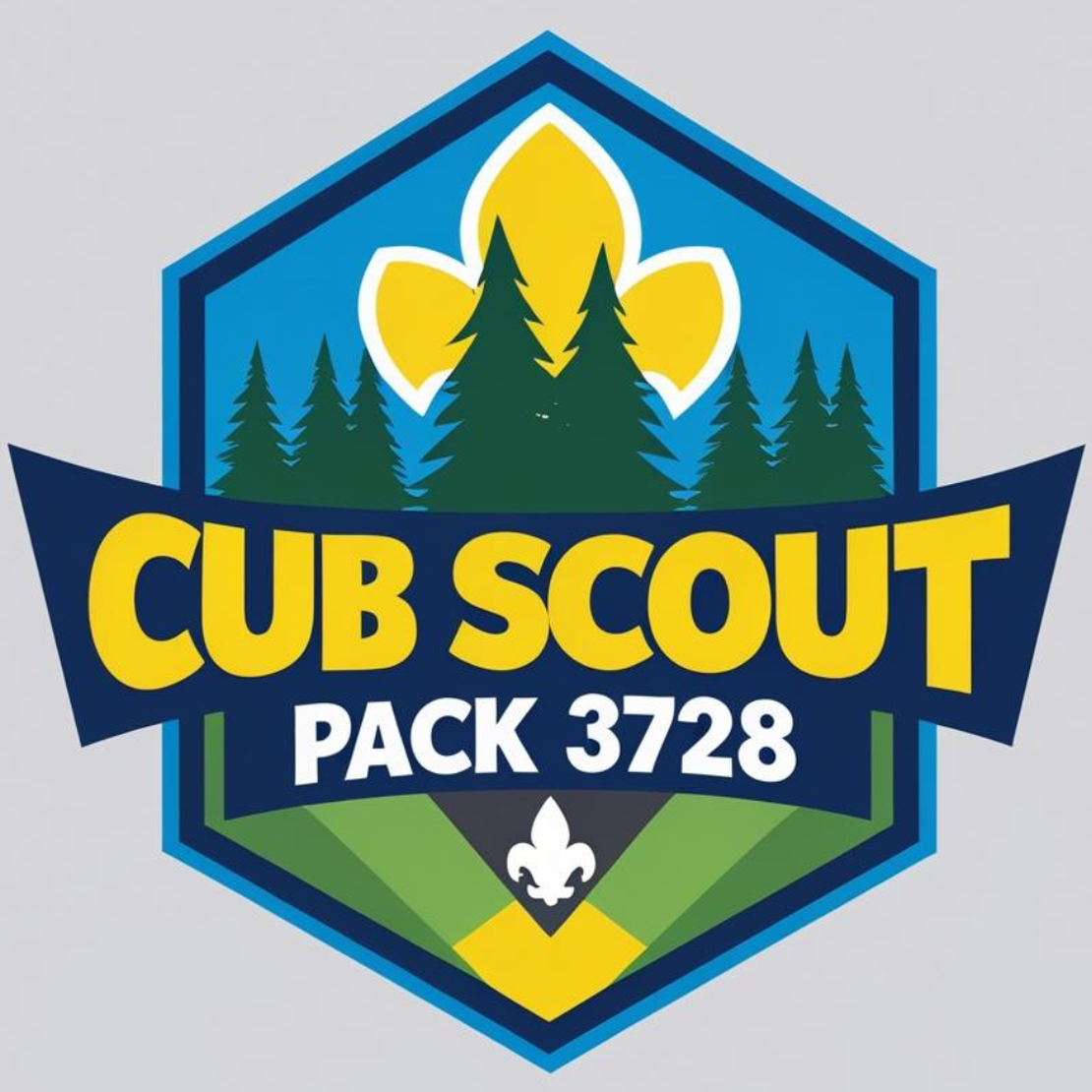 About Pack 3728